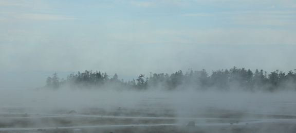 Fog over the bay. Photo by Alex Shapiro.